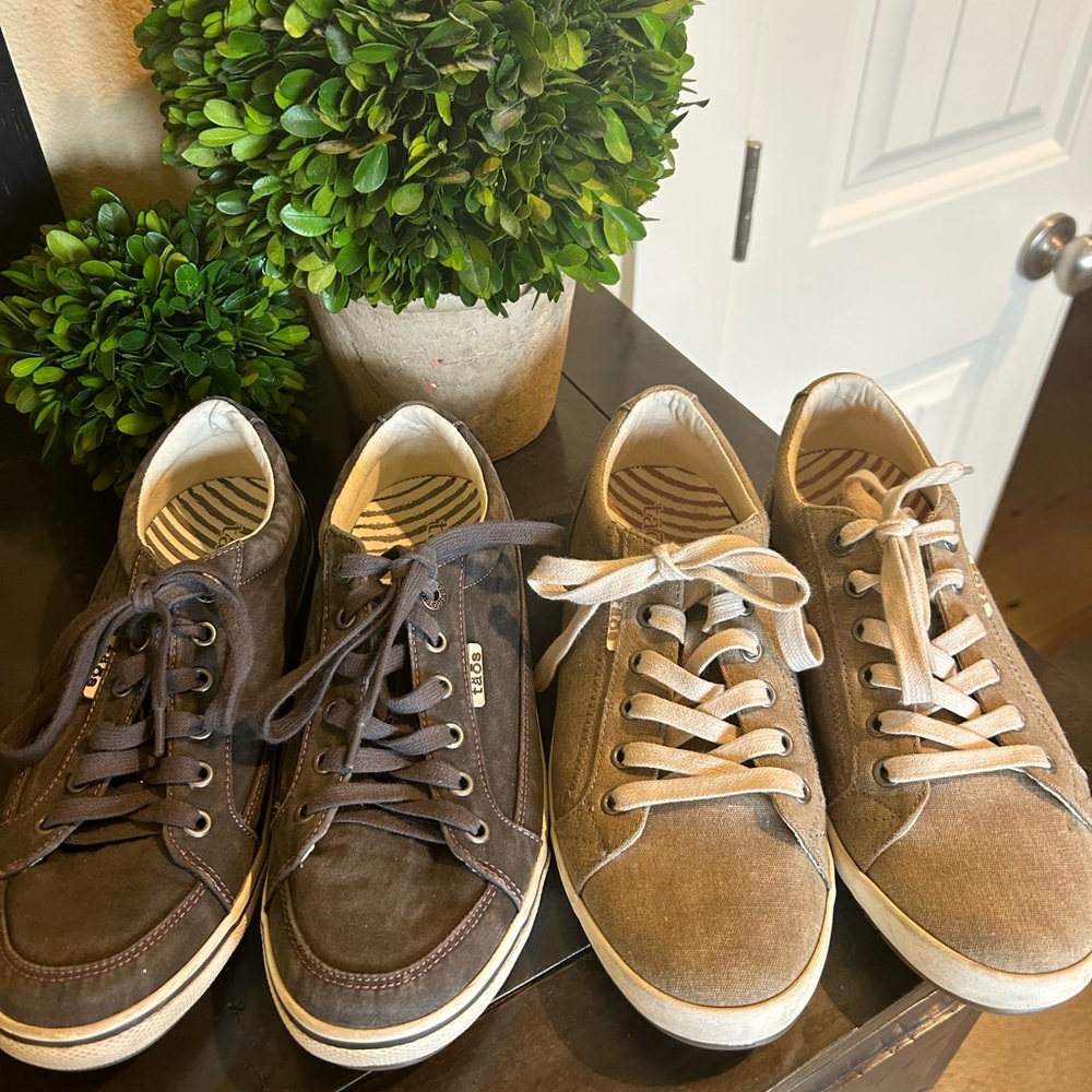 Taos Sneakers Lot